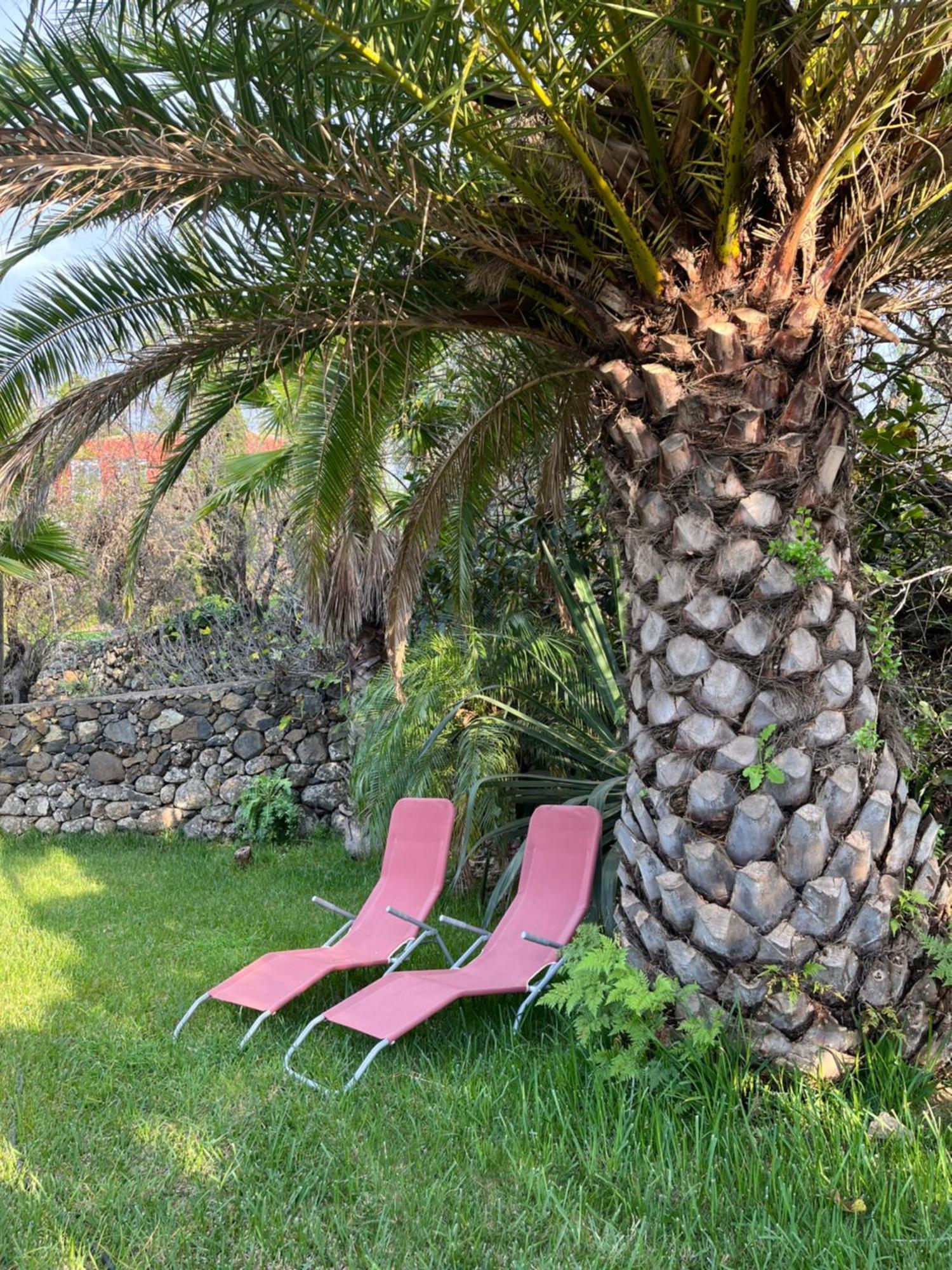 Feriendomizil Finca Tijarafe Mit Beheiztem, Abdeckbarem Pool Екстериор снимка