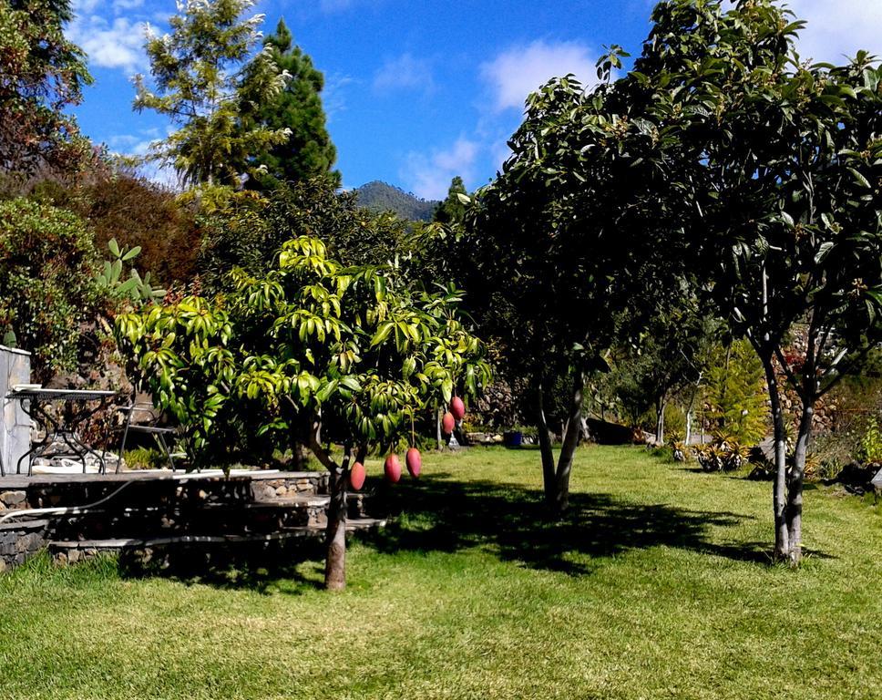 Feriendomizil Finca Tijarafe Mit Beheiztem, Abdeckbarem Pool Стая снимка